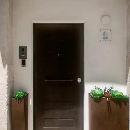 Apartmán Dimora Brezza - -